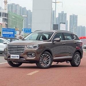 [Hot Item] 2020 Great Wall Haval H6 1.5gdit Automatic Great Wall Motors Used Car Second Hand SUV