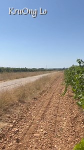 33K views · 524 reactions | Wb lub neej rau 28 lub xyoo kev Hlub raug pua ntsoog | Kruong qhia muag online nyiaj laab | Facebook