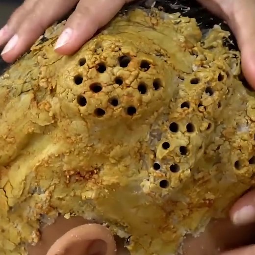 19K views · 72 reactions | Ah Ha Worm Hole Flakes So Big !! Dandruff Removal Itchy Scalp Satisfying #399 Part 1 | Help remove ticks | Facebook