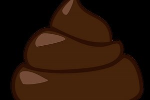 Poop Adventure - Free Addicting Game ★★★★★