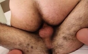 Horny Bear Pounds Hairy Otter's Asshole