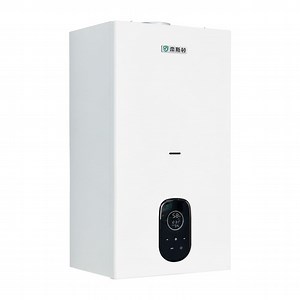 [Hot Item] Eco-Friendly Gas Boiler Stove for Efficient Home Heating