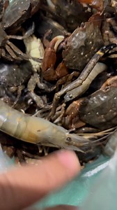 Allen Gregory Escalante Salvanera on Reels