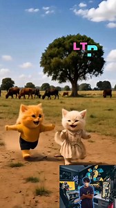 60K views · 1.4K reactions | Two cats were playing with each other and unfortunately fell into a pit of dirty feces #viral #shorts #foryoupage #fyp #cat #animation #kitten | Meow Channel | Facebook