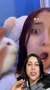 74K views · 2.2K reactions | Conejos adorables o traviesos 藍藍藍藍藍 #humor #comedia | Katyshei | Facebook