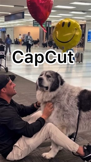 It’s THAT easy 😍 #ᴄᴀᴘᴄᴜᴛ is the secret.. Search for ac111 on the app and the AutoCut will do it’s trick! #ritchiethepyr #capcutpioneer | Ritchie ThePyr