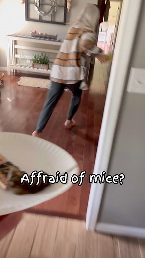 3.6K views · 76 reactions | Afraid of mice? #mice #mouse #scared #wife #couple #joke #fake | Matt Eden | Facebook