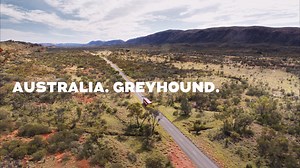 Australia. Greyhound. Whimit. The perfect threesome | Greyhound Australia