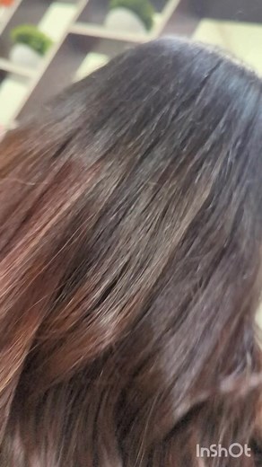 Parrot Beauty Lounge on Reels