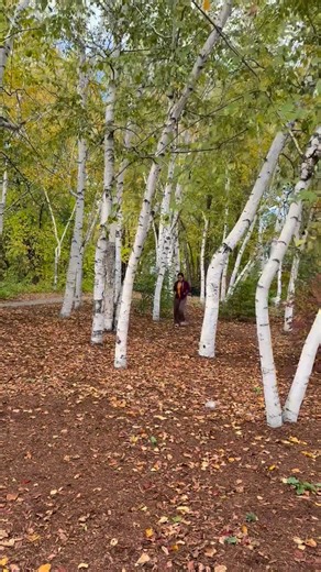 Nature vibes #Beautifulnaturephotographychallenge | Filipina Devilla Serra