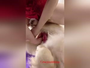 Asian Girl Intense Dog Sex
