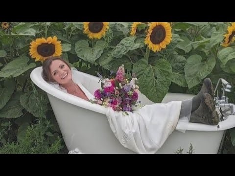 Farm asks people to stop taking nudes in Sunflower field