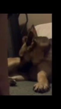 Denise Frazier beastiality videos‪@asktheconcretecountess‬