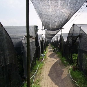 [Hot Item] HDPE Privacy Fence Netting Plastic Net Wholesale Shade Net