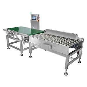 [Hot Item] Coso Scales Weighing Conveyor Belt Weight Check Weigher for Large Goods