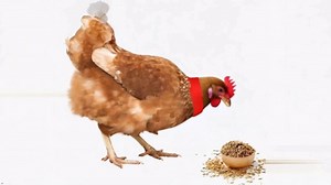 ​2Pcs Crow Rooster Collars, Adjustable Nylon Anti-Noise Neck Belt for Chickens and Poultry Birds, Humane Crow Collar to Prevent Screaming, Chicken Collar Harness Set​