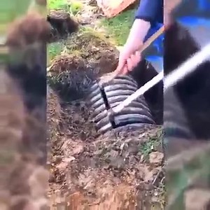 OMG, Wait for it | Disney memes | Facebook