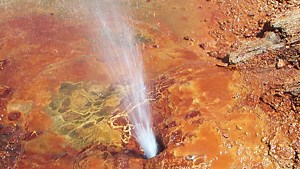 Figuring out what happens to sequestered carbon