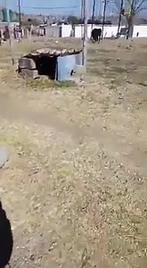 1.1K views · 38 reactions | Police brutality @ Botha-Bothe | Official Ts'enoloFm | Facebook