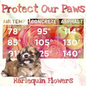 My North Georgia Realtor on Reels