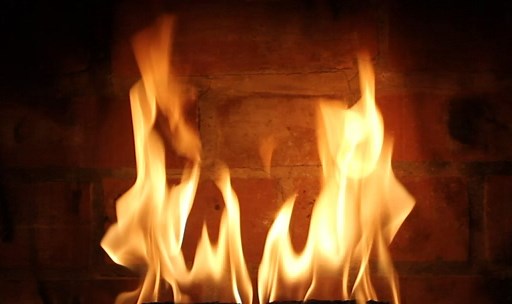 Amazon.com: EcoFire ECO Coconut Natural Fire Log, 12 logs, 1 Hour Burn time, Extra Long Duration, Indoor or Outdoor, Brown : Everything Else