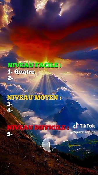 Quizz Rapide sur TikTok