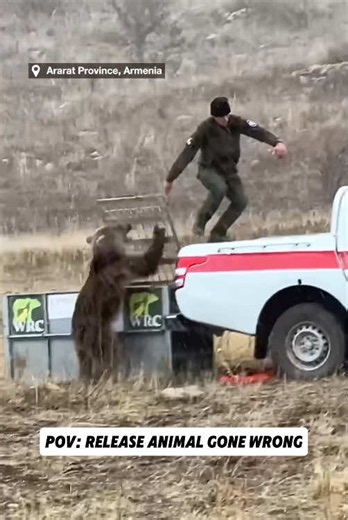 This Was Supposed to Be a Beautiful Moment 😂 #viralvideo #animalrescue #foryoupage #funnyvideo #oops