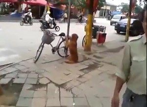 Dogadan & Naturel on Reels