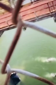 25K views · 354 reactions | Muy cerca del puente internacional entre Roma Texas Y Miguel Alemán Tamaulipas dos coyotes huyen cruzando a nado el Rio Bravo! [Redes] | Prensa Territorial | Facebook