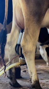 4.8K views · 58 reactions | You’d be amazed how many people ask to...