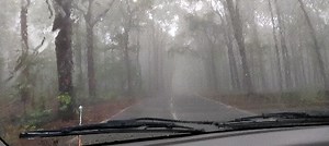 Divya Mitra on Instagram