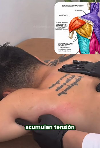 Masaje de hombro para aliviar dolor y tensión muscular