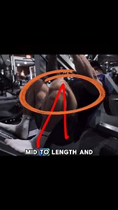 37K views · 90 reactions | Whoever does your programming shouldn’t be fixated on exercises, rather, creating solutions for your specific training goals. Want me to train you? I combine the best of both training worlds - the hardcore meathead, with the “optimal” evidence based world. Full programs, nutrition, logbooking, educational content and 1-on-1 support, all in one spot. Get on the Hypertrophy Coach App! | Hypertrophy Coach | Facebook