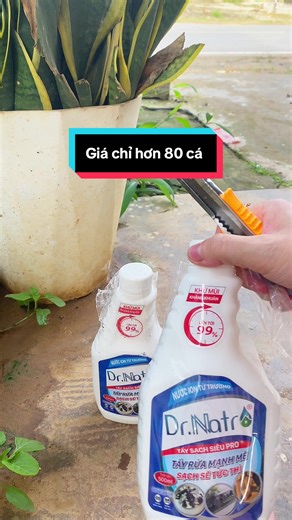 Liên mẹ Bon trên TikTok