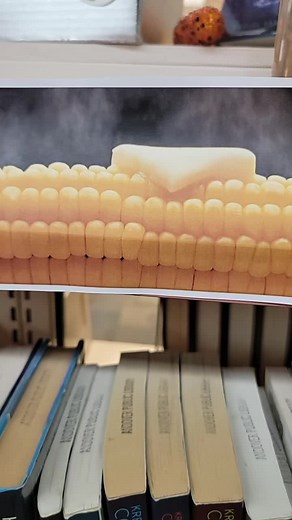 #corn #books #booktok #librariesoftiktok #itsgotthejuice #fyp