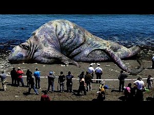 Insane Beach Moments You Wouldn’t Believe Exist