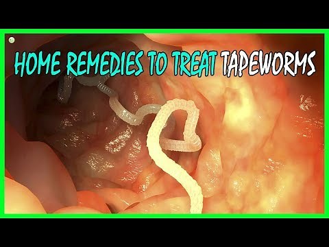 4 Effective Home Remedies To Treat Tapeworms In Humans | Best Home Remedies