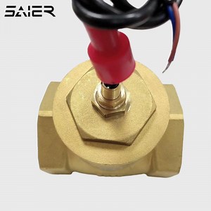 [Hot Item] DN50 Magnetic Flow Switch Stainless Steel Flow Switch for Water Heater