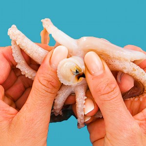 3.3M views · 177 reactions | Kerajinan 5-Menit Keluarga on Reels | Facebook