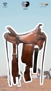 Easy Rider #1086 16.5" Superwide: New. Designed specifically for Versatility, the Easy Rider model is perfect for all kinds of rides.✔️ Hand-crafted✔️ Premium quality✔️ Seat Size: 16.5"✔️ SmartFlx Size: SW✔️ Seat Leather: Smooth✔️ Seat Style: Bicycle Seat✔️ Fender Size: Medium✔️ Stirrups: 3" Wood✔️ Works seamlessly with the Versafit Saddle Pads System. Don't miss out on the chance to upgrade your riding experience today. Visit Natural Horseman Saddles in stock page for more details!🐴✨#HorseRidi