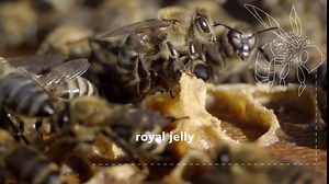 APIVITA Aqua Beelicious Cooling Hydrating Eye Gel 0.51 fl.oz. | Hydrating Eye Cream with Roll-On Applicator that Reduces Dark Circles & Puffiness | Fragrance-Free, Ophthalmologically Tested Cream