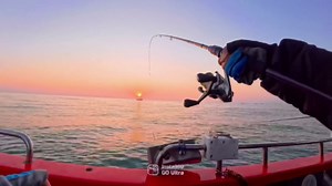 20lb Pre-Tied Dropper Loop Rigs | 16" Spaced 5.5" Loops | Versatile for All Water Column | Saltwater & Freshwater Fishing Tackle for Bass, Snapper, Striper, Cod, Grouper, Lake Trout, Catfish