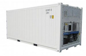 [Hot Item] Used Second Hand Carrier Reefer Units 20FT Refrigerated Container for Sale