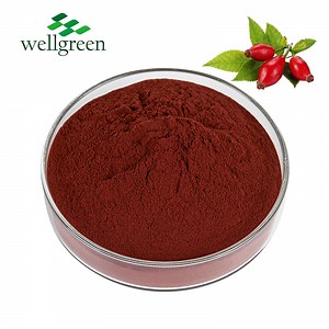 [Hot Item] Rose HIPS Polyphenol Rose Hip P. E. Vitamin C Rose Hip Extract