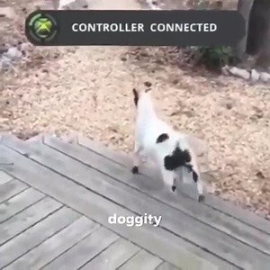 49K views · 2.6K reactions | Zucc succ my ducc on Reels | Facebook