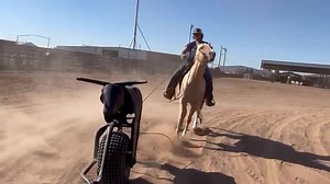 Coats Saddlery on Reels