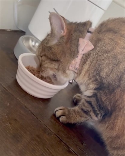 12K views · 160 reactions | Jason Donovan on Reels | Facebook