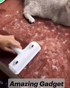  Mit unserem wiederverwendbaren Roller entfernen Sie mühelos Haare von verschiedenen Oberflächen. 理 Halten Sie Ihren Raum sauber und frisch. Jetzt kaufen  https://superzebra.at/produkt/hair-removal-roller-furfix?sp=7716i997 | Superzebra | Facebook