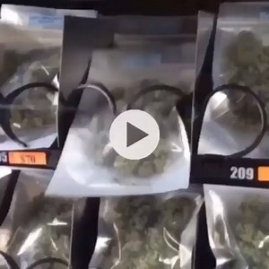 99K views · 268 reactions |  | 420Live | Facebook