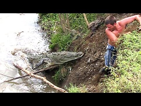Life-Ending Crocodile Attacks *MARATHON*